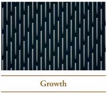 Growth